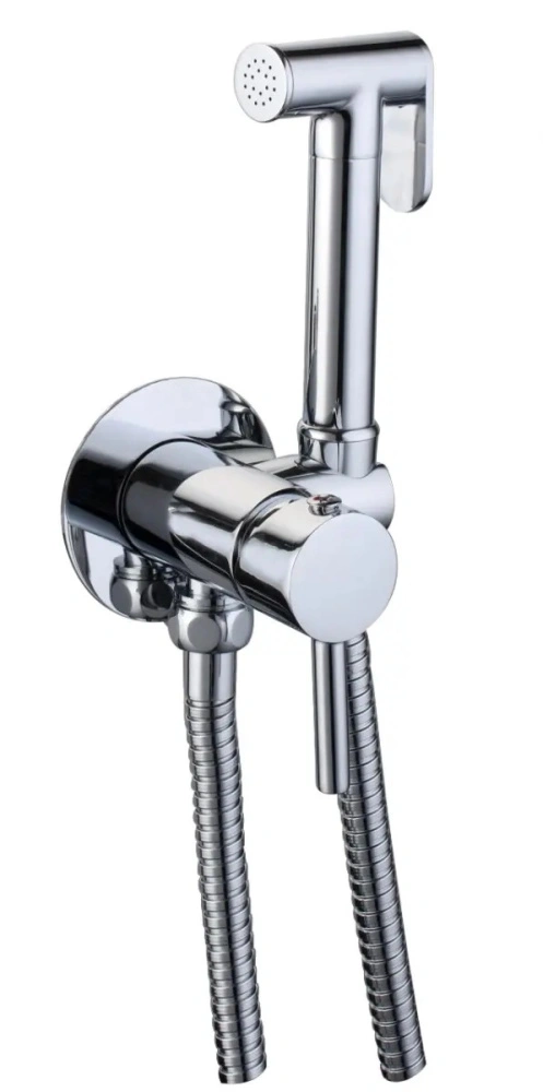 Смеситель с гигиеническим душем BochMannем BochMann BRAIES СК-P07 хром от магазина Vanna-Vanna.ru!