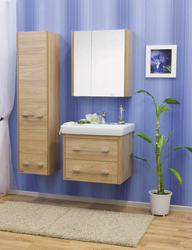 Зеркало-шкаф Sanflor Ларго 70 R вяз швейцарский