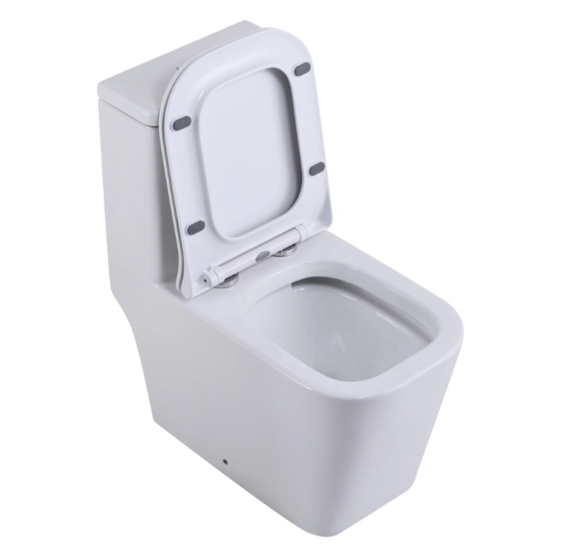 Унитаз SantiLine SL-5024 напольный, безободковый, моноблок, белый от магазина Vanna-Vanna.ru!