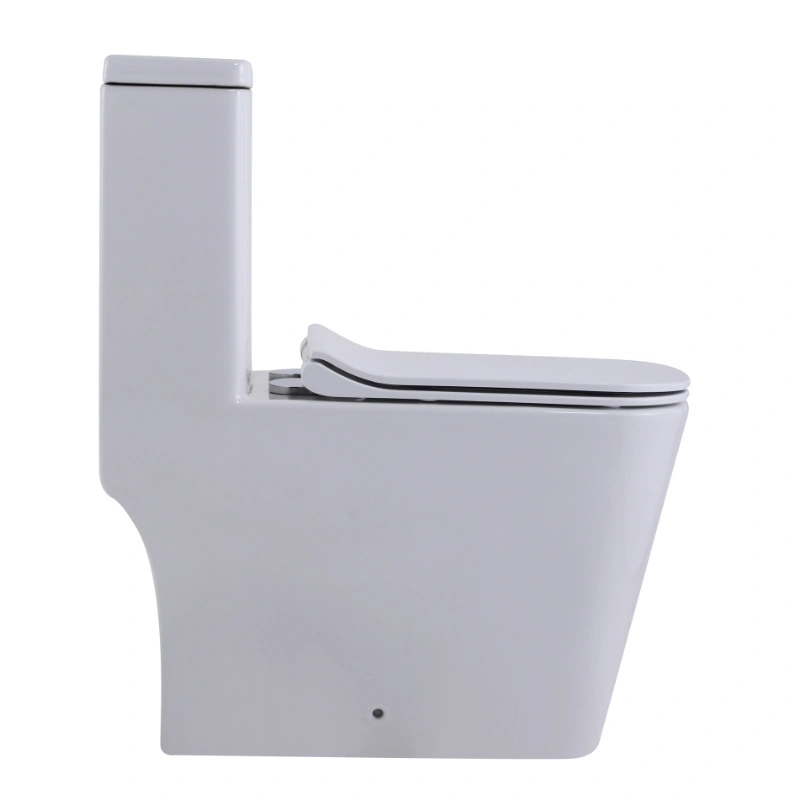 Унитаз SantiLine SL-5024 напольный, безободковый, моноблок, белый от магазина Vanna-Vanna.ru!