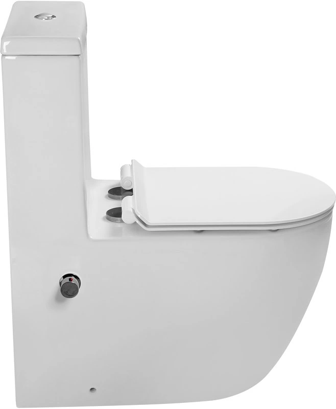 Унитаз-биде SantiLine SL-5011SM-BD напольный, безободковый, белый от магазина Vanna-Vanna.ru!
