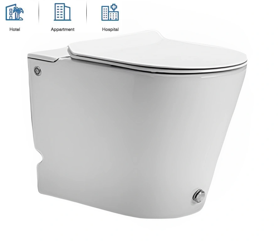 Унитаз Ceruttispa ARGENTERA Pulse  CT7267 приставной, импульсный, белый от магазина Vanna-Vanna.ru!