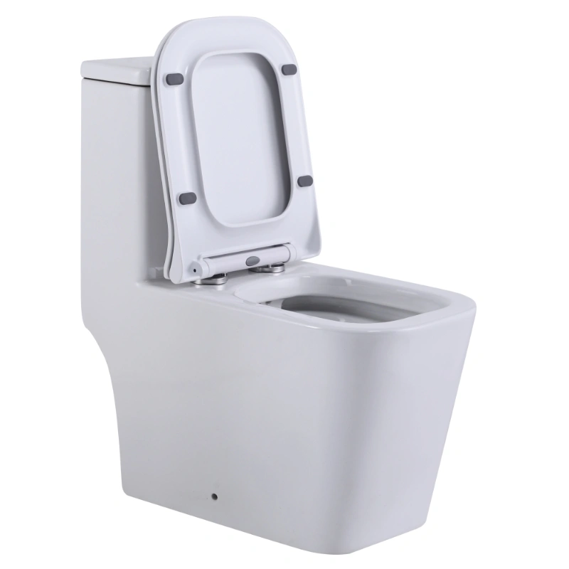 Унитаз SantiLine SL-5024 напольный, безободковый, моноблок, белый от магазина Vanna-Vanna.ru!