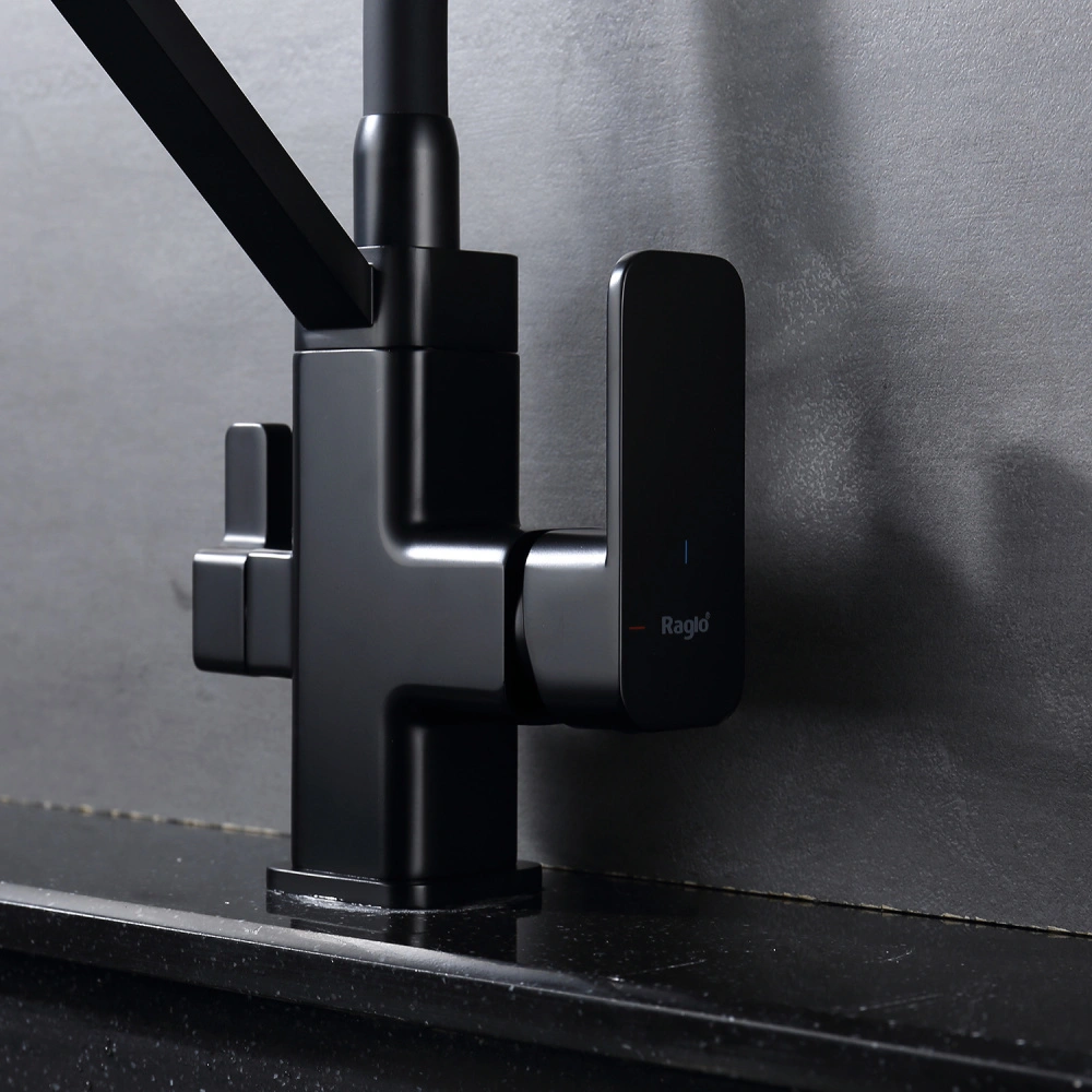 Смеситель для кухни с подключением фильтра Raglo R85.62.06, черный от магазина Vanna-Vanna.ru!