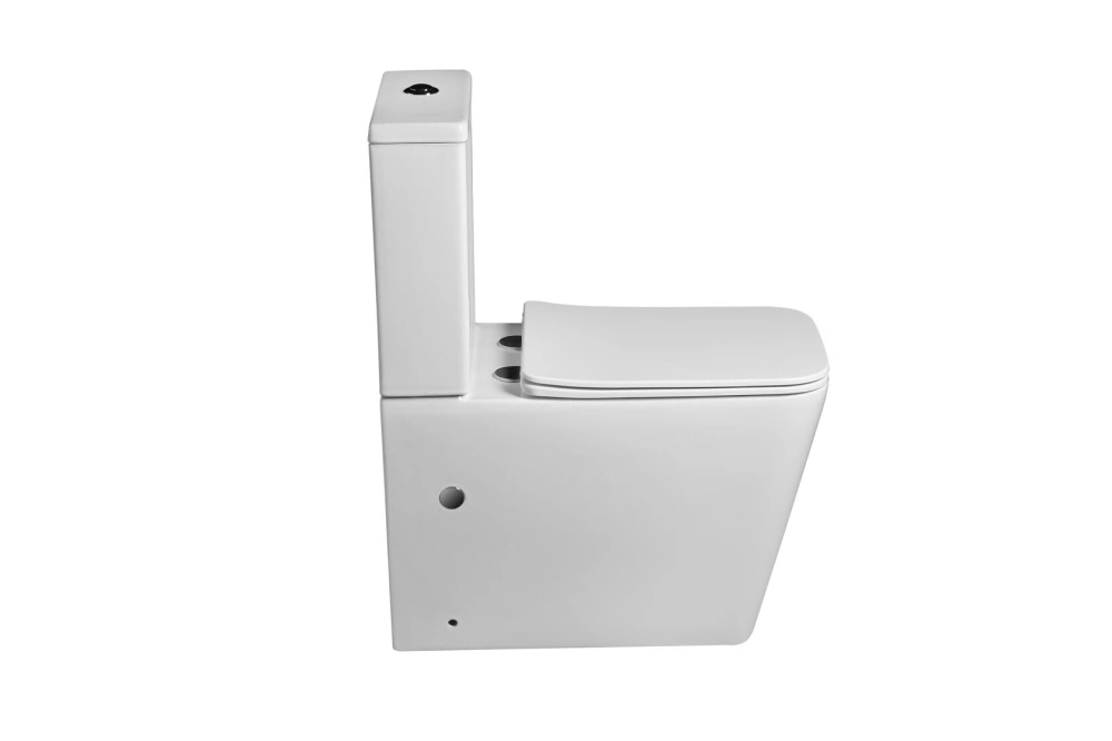 Унитаз SantiLine SL-5017 напольный, безободковый, белый от магазина Vanna-Vanna.ru!