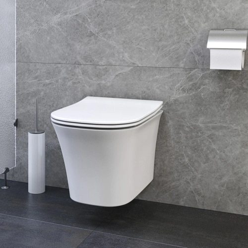 Унитаз подвесной Ceruttispa АРНО (ARNO) Aria CT7839 безободковый (490х360х350) от магазина Vanna-Vanna.ru!