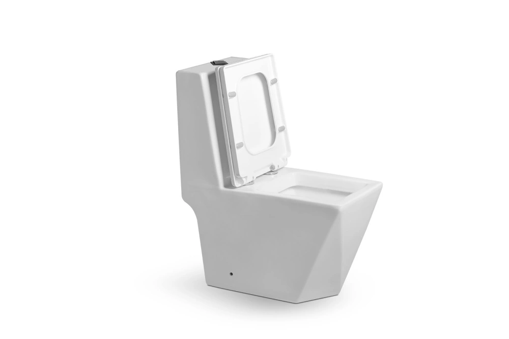 Унитаз SantiLine SL-5013 напольный, моноблок, белый от магазина Vanna-Vanna.ru!