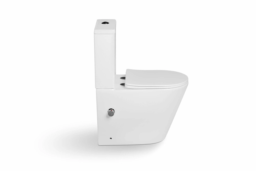 Унитаз - биде SantiLine SL-5014SM-BD напольный, безободковый, белый от магазина Vanna-Vanna.ru!