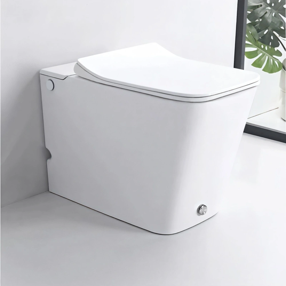 Унитаз Ceruttispa DISGRAZIA Pulse CT7269 приставной, импульсный, белый от магазина Vanna-Vanna.ru!