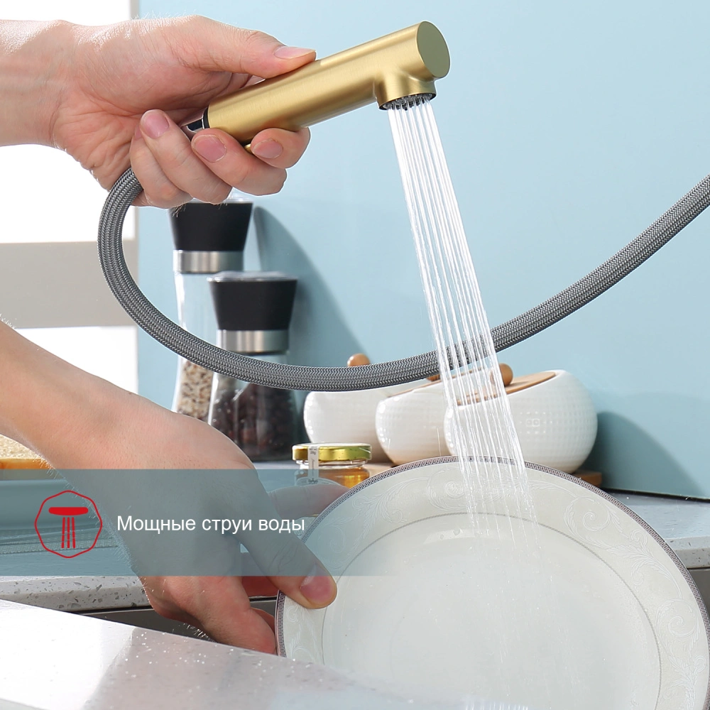 Смеситель для кухни с выдвижным изливом Raglo R86.49.03, золотой сатин от магазина Vanna-Vanna.ru!