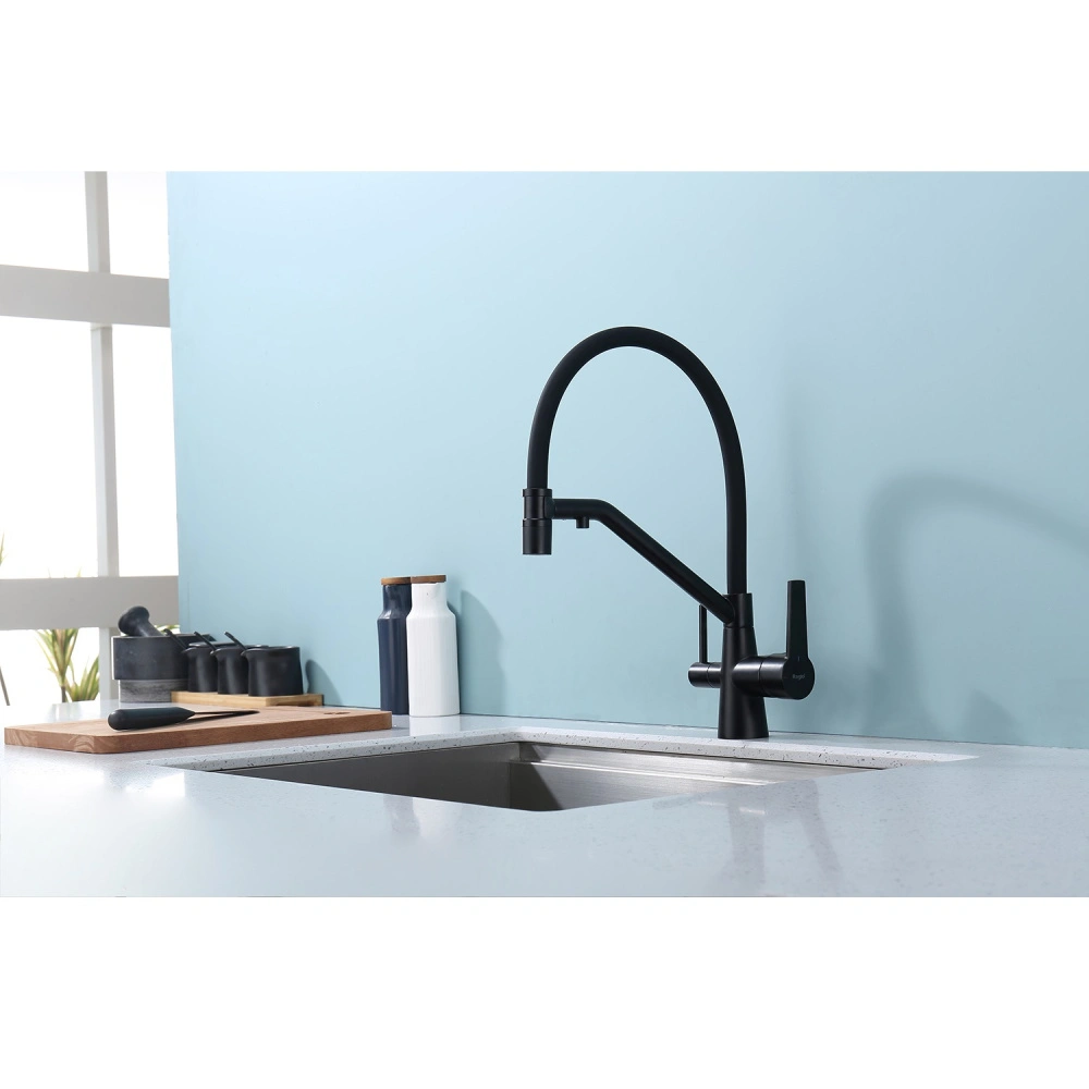 Смеситель для кухни с подключением фильтра Raglo R80.62.06, черный от магазина Vanna-Vanna.ru!