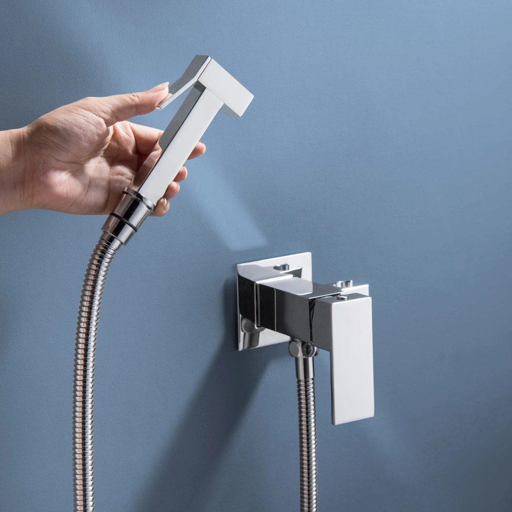 Смеситель с гигиеническим душем BochMann RESIA CK-P11 хром от магазина Vanna-Vanna.ru!