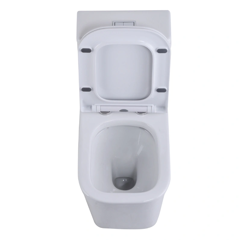 Унитаз SantiLine SL-5024 напольный, безободковый, моноблок, белый от магазина Vanna-Vanna.ru!