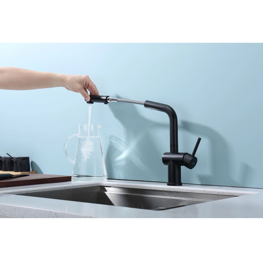 Смеситель для кухни с выдвижным изливом Raglo R86.49.06, черный от магазина Vanna-Vanna.ru!