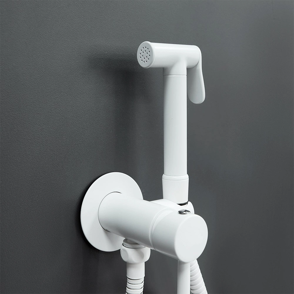 Смеситель с гигиеническим душем BochMann BRAIES W CK-P07W белый от магазина Vanna-Vanna.ru!