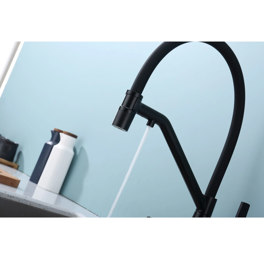 Смеситель для кухни с подключением фильтра Raglo R80.62.06, черный от магазина Vanna-Vanna.ru!