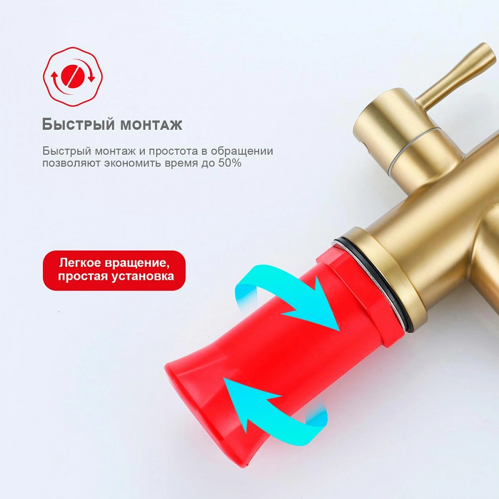 Смеситель для кухни с подключением фильтра Raglo R81.64.03, золотой сатин