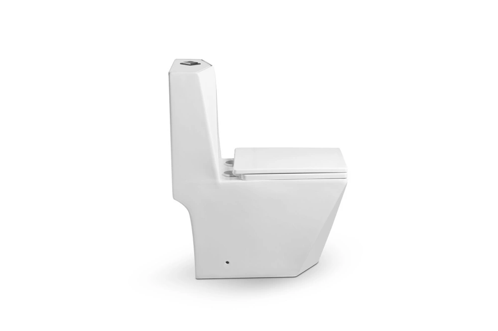 Унитаз SantiLine SL-5013 напольный, моноблок, белый от магазина Vanna-Vanna.ru!
