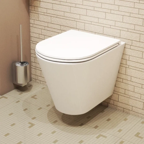 Унитаз Owl 1975 Vind Ruta-H TOWLT190304 подвесной, безободковый с сиденьем DP микролифт, система смыва Торнадо от магазина Vanna-Vanna.ru!