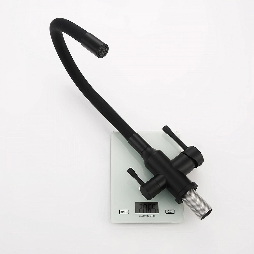 Смеситель для кухни с подключением фильтра Raglo R81.64.06, черный