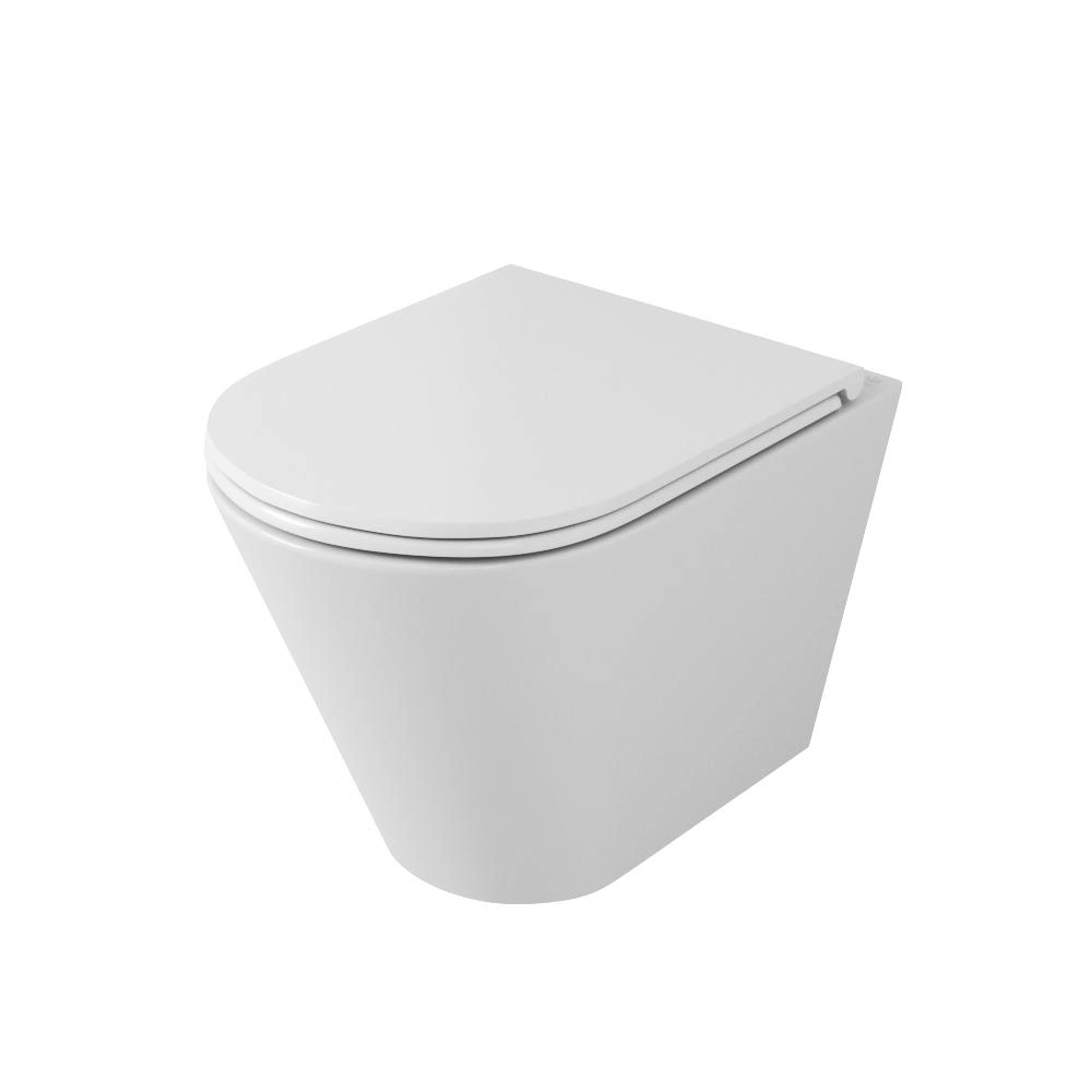 Унитаз Owl 1975 Vind Ruta-H TOWLT190304 подвесной, безободковый с сиденьем DP микролифт, система смыва Торнадо от магазина Vanna-Vanna.ru!