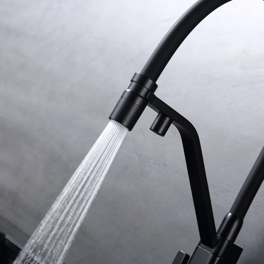 Смеситель для кухни с подключением фильтра Raglo R85.62.06, черный от магазина Vanna-Vanna.ru!