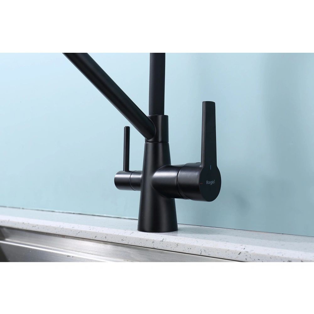 Смеситель для кухни с подключением фильтра Raglo R80.62.06, черный от магазина Vanna-Vanna.ru!