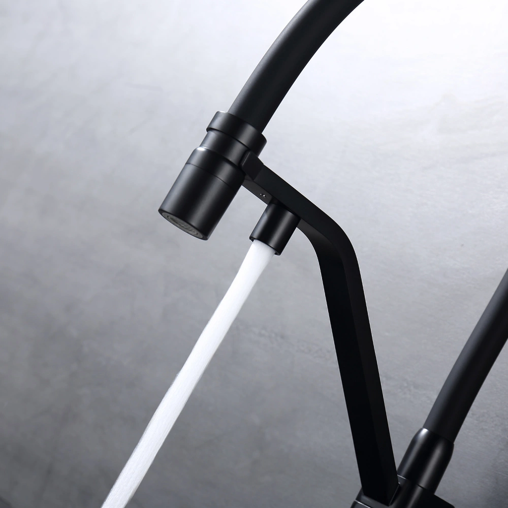 Смеситель для кухни с подключением фильтра Raglo R85.62.06, черный от магазина Vanna-Vanna.ru!