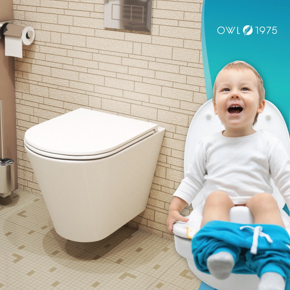 Унитаз Owl 1975 Vind Ruta-H TOWLT190304 подвесной, безободковый с сиденьем DP микролифт, система смыва Торнадо от магазина Vanna-Vanna.ru!