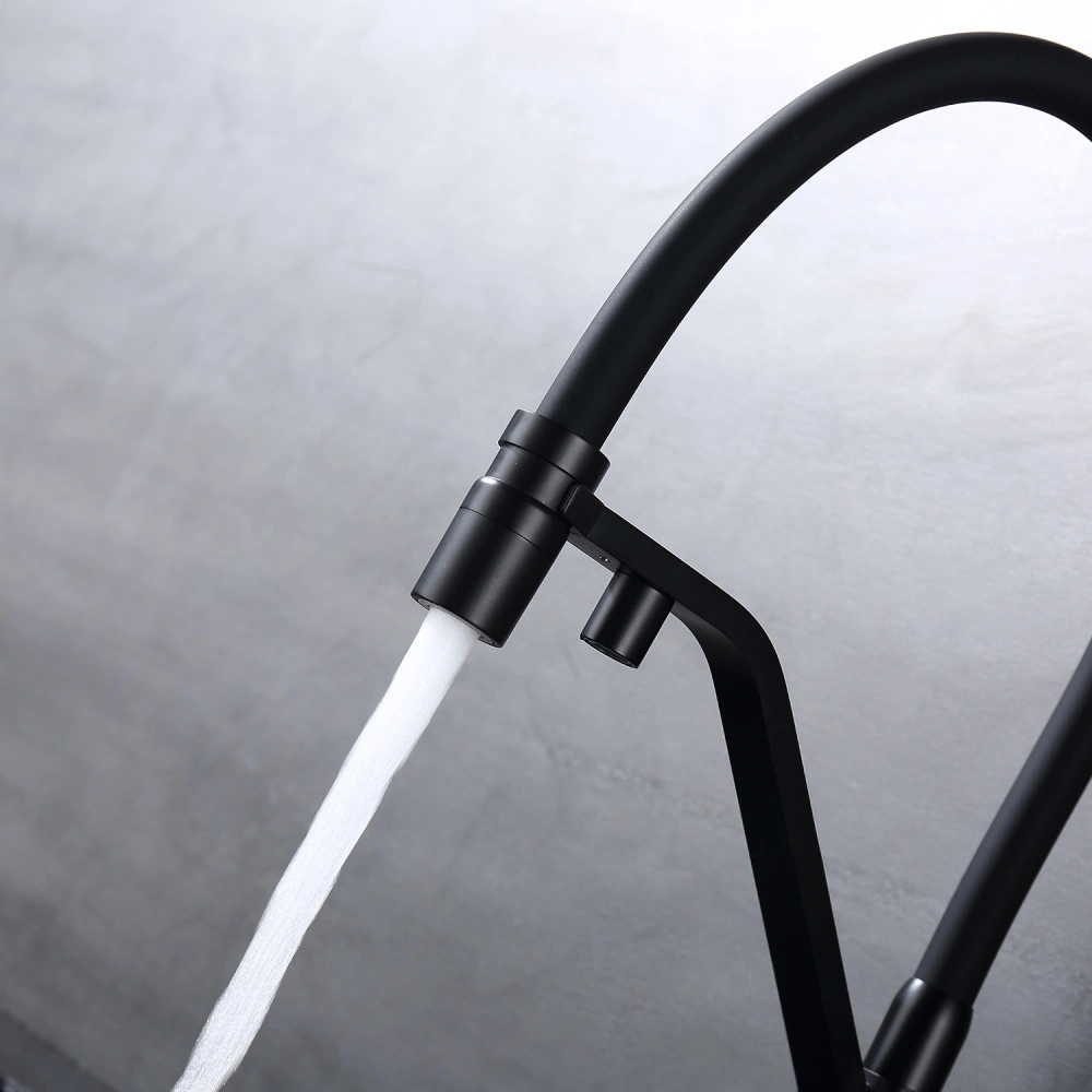 Смеситель для кухни с подключением фильтра Raglo R85.62.06, черный от магазина Vanna-Vanna.ru!