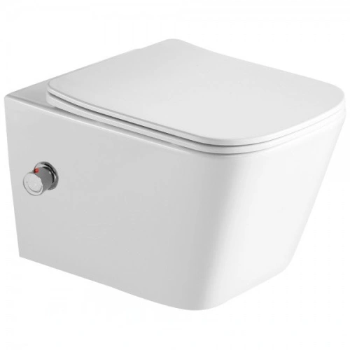 Унитаз - биде SantiLine SL-5007T-SM/BD подвесной, безободковый, с микролифт, белый глянец от магазина Vanna-Vanna.ru!