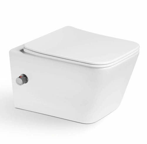 Унитаз-биде SantiLine SL-5004SM-BD подвесной, белый от магазина Vanna-Vanna.ru!