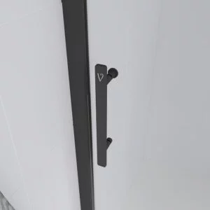 Душевая дверь Veconi Evo 100 B, 1500x1950, черный матовый, стекло прозрачное