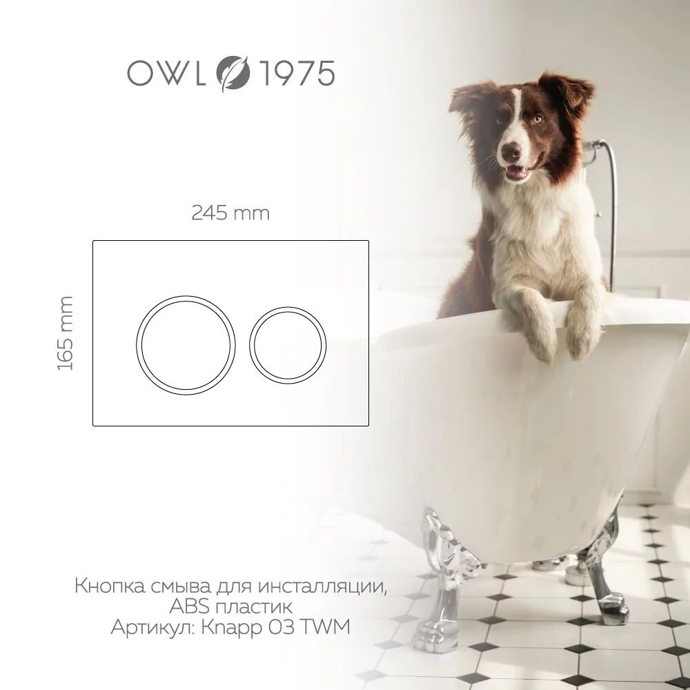 Кнопка смыва Owl 1975 Titan White Matt, Knapp03TWM, механическая, белый матовый