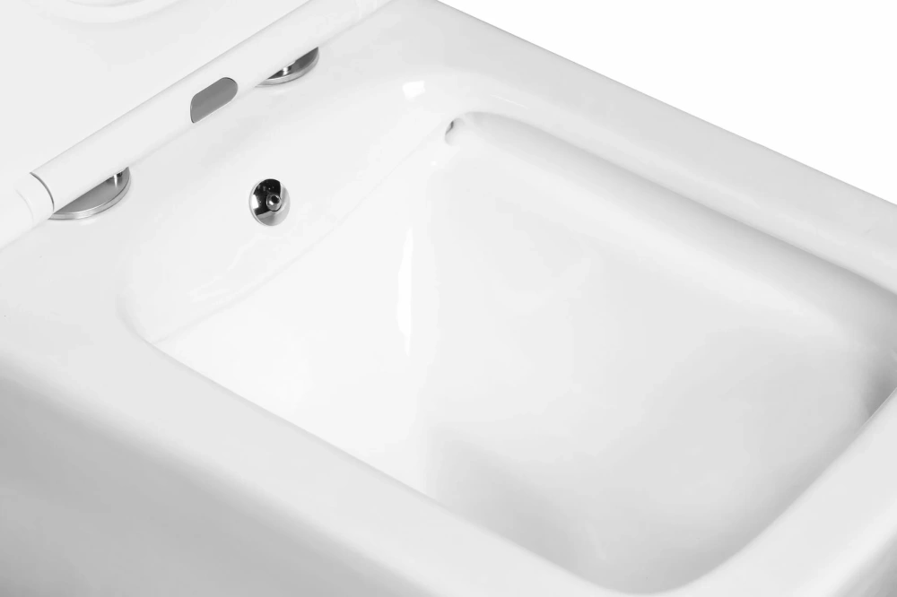 Унитаз - биде SantiLine SL-5017SM-BD напольный, безободковый, белый от магазина Vanna-Vanna.ru!