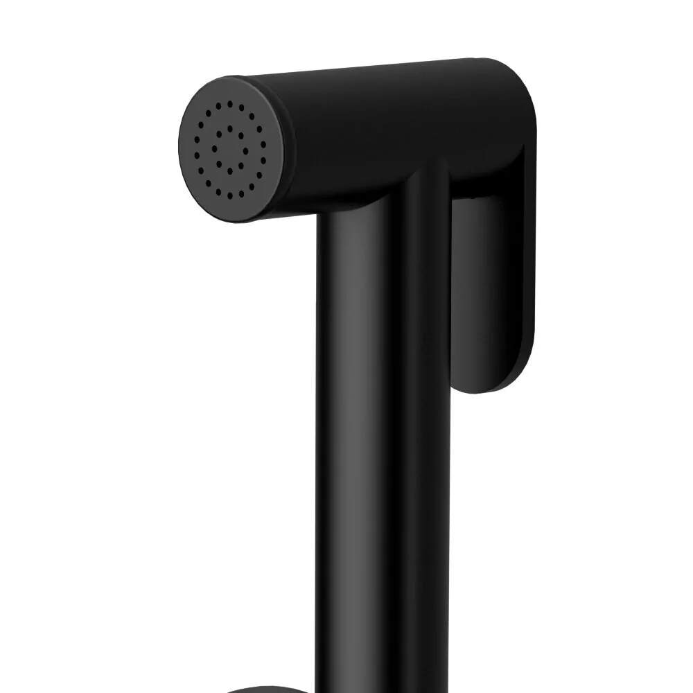 Смеситель с гигиеническим душем Raiber Graceful RPB-009 черный матовый
