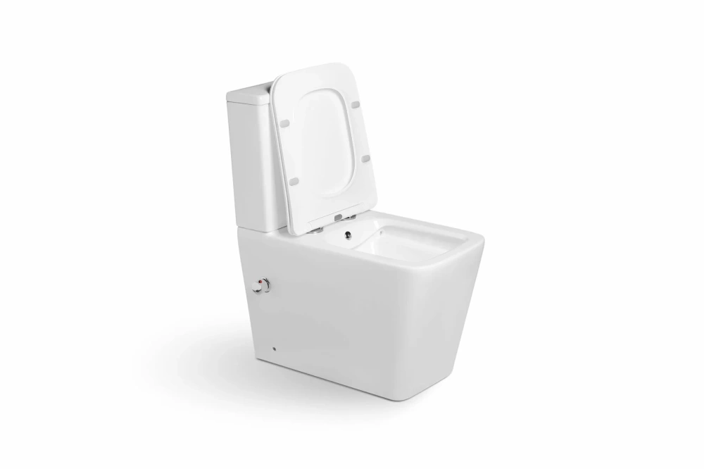 Унитаз - биде SantiLine SL-5017SM-BD напольный, безободковый, белый от магазина Vanna-Vanna.ru!