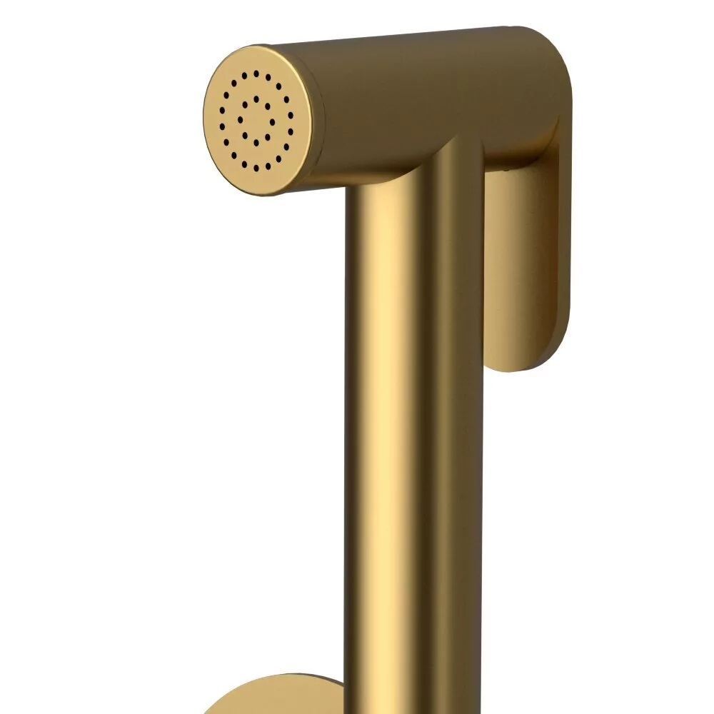 Смеситель с гигиеническим душем Raiber Graceful RPG-009 матовое золото