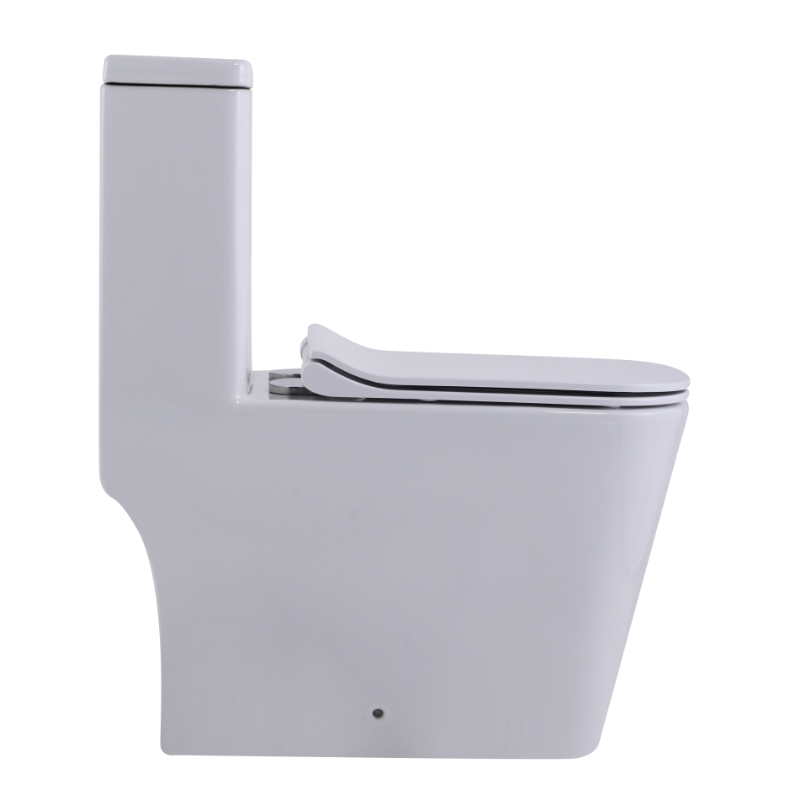 Унитаз SantiLine SL-5024 напольный, безободковый, моноблок, белый