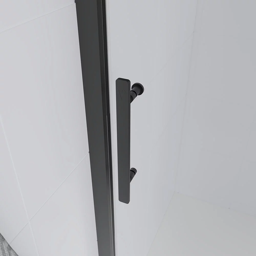 Душевая дверь Veconi Evo 100 GR, 1200x1950, графит брашинг,  стекло тонированное матовое