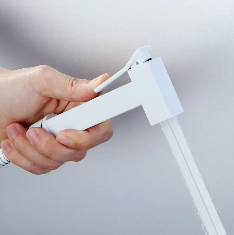 Смеситель с гигиеническим душем BOCH MANN RESIA W CK-P11W, белый