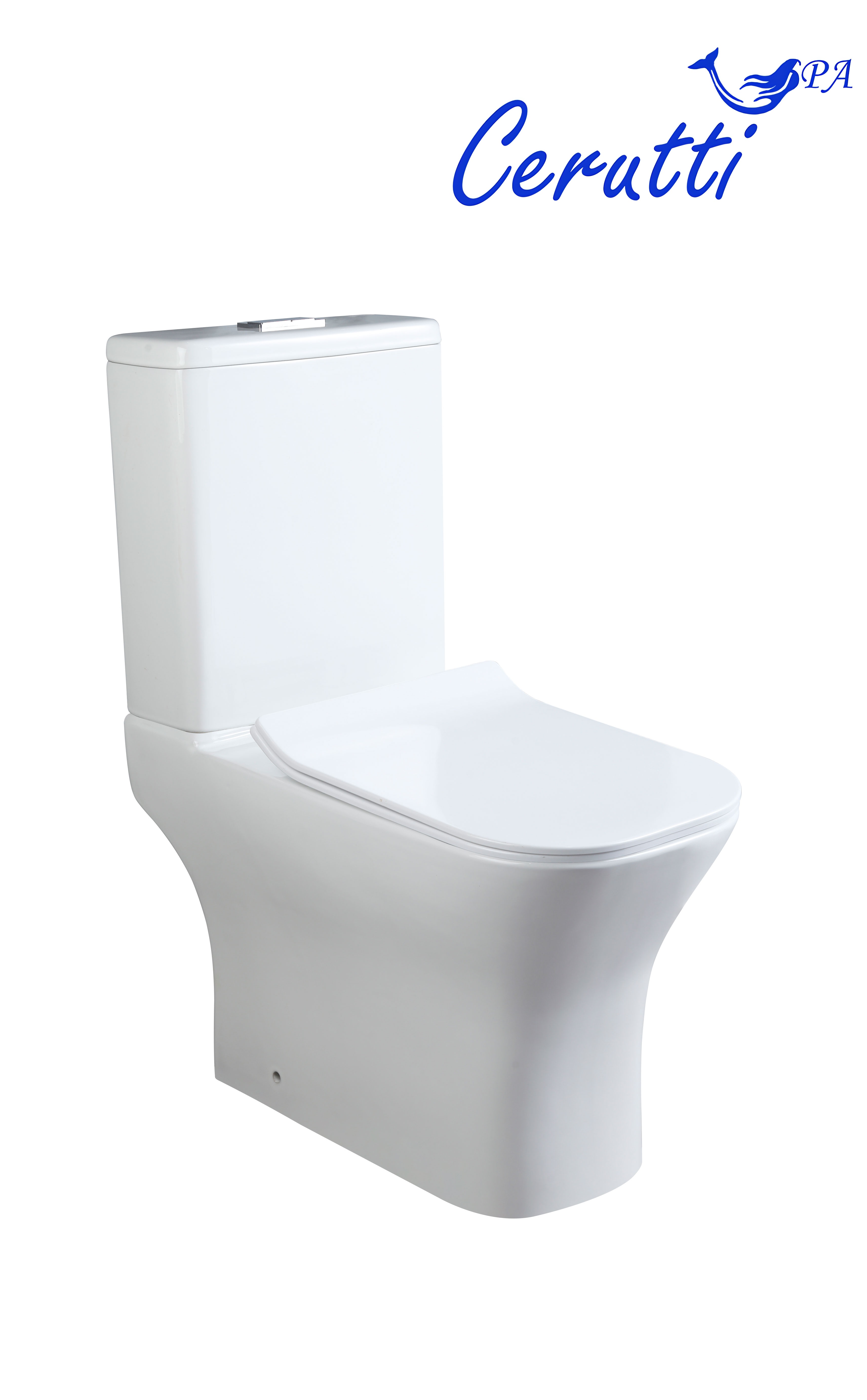 Унитаз Cerutti Spa VETTORE Tornado CT10816 напольный, белый