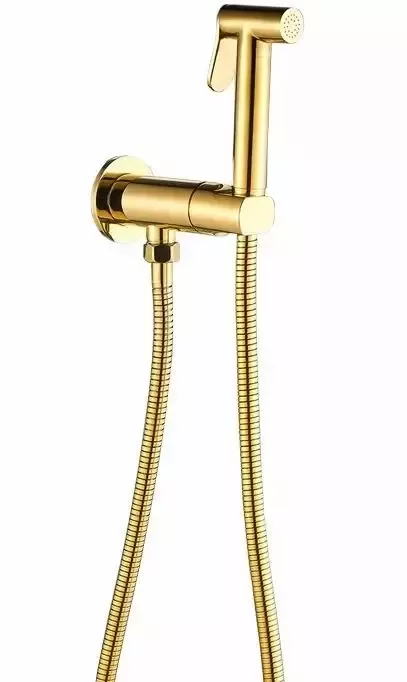 Смеситель с гигиеническим душем ALMAes Benito AL-859-08 золото
