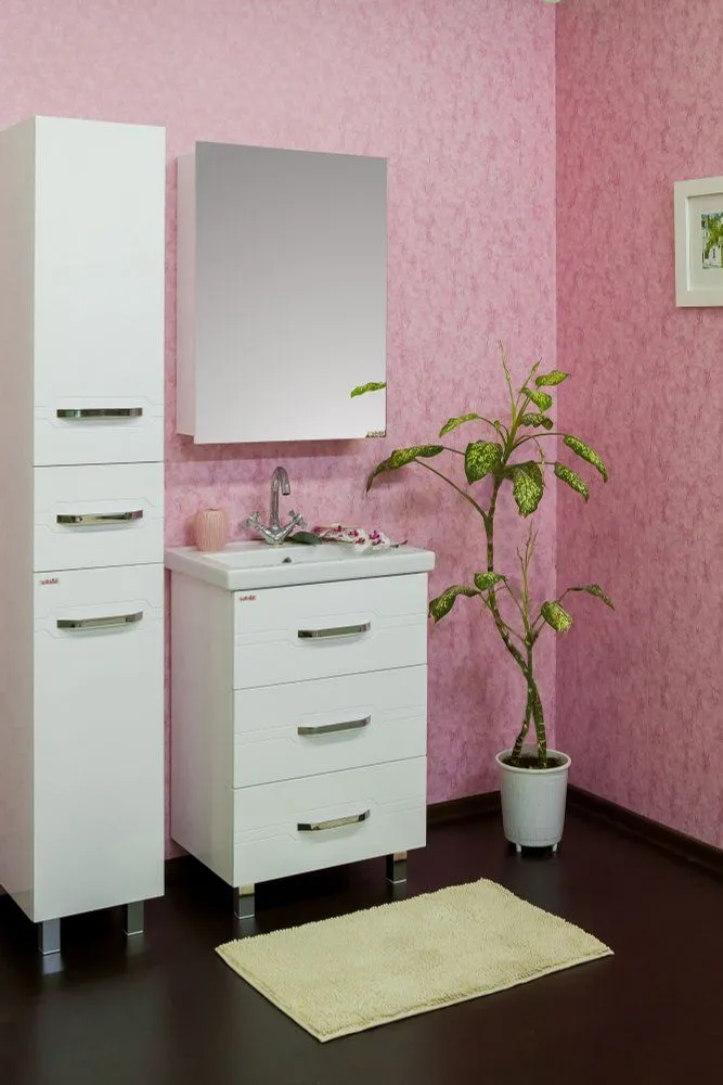 Зеркало-шкаф Sanflor Анкона 60 L белый