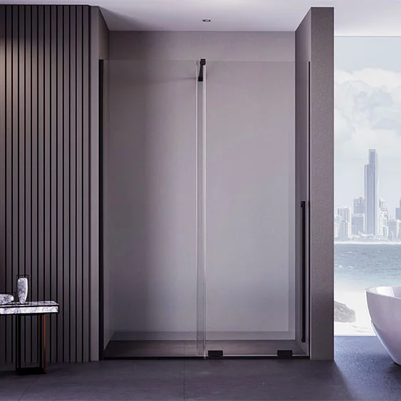 Душевая дверь Veconi Premium Trento PTDW-50B, 1100x2000, черный матовый, стекло прозрачное