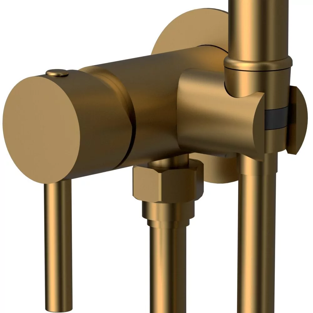 Смеситель с гигиеническим душем Raiber Graceful RPG-009 матовое золото