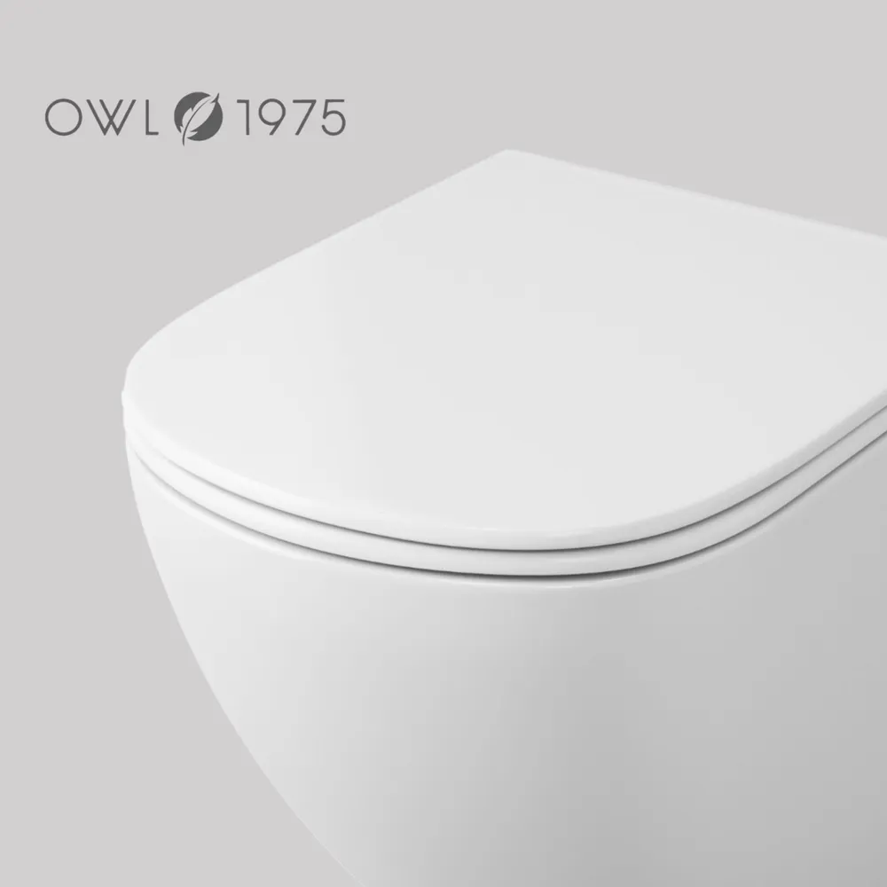 Унитаз Owl 1975 Vind Cirkel-H TOWLT190302 подвесной, с микролифтом, система смыва Торнадо, белый от магазина Vanna-Vanna.ru!