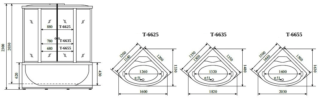 Душевая кабина Timo Standart Т-6635 Silver F (130*130*220), турецкая баня хамам