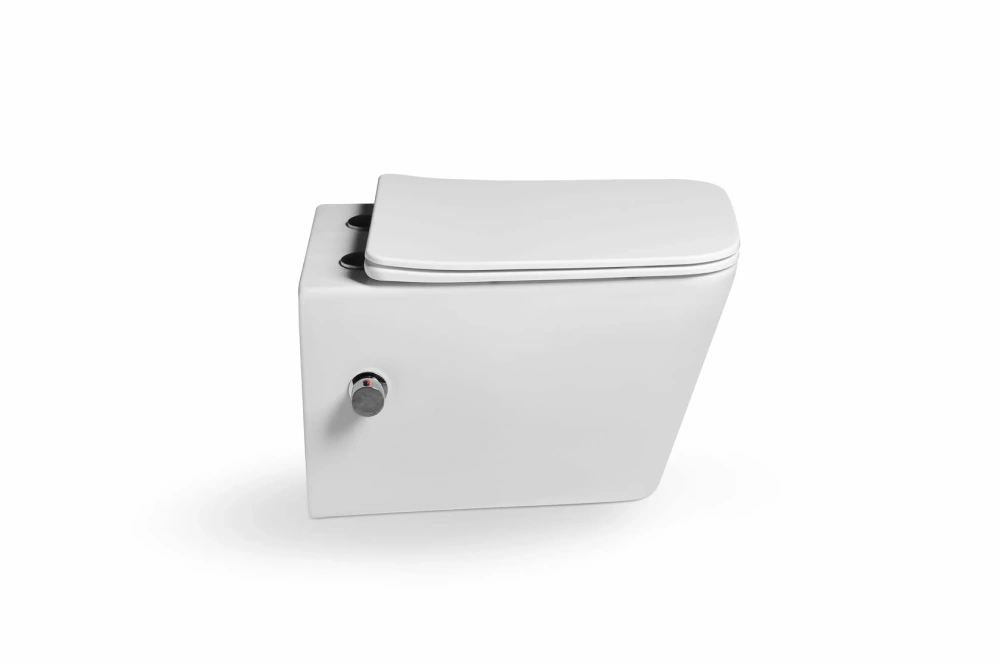 Унитаз-биде SantiLine SL-5004SM-BD подвесной, белый от магазина Vanna-Vanna.ru!