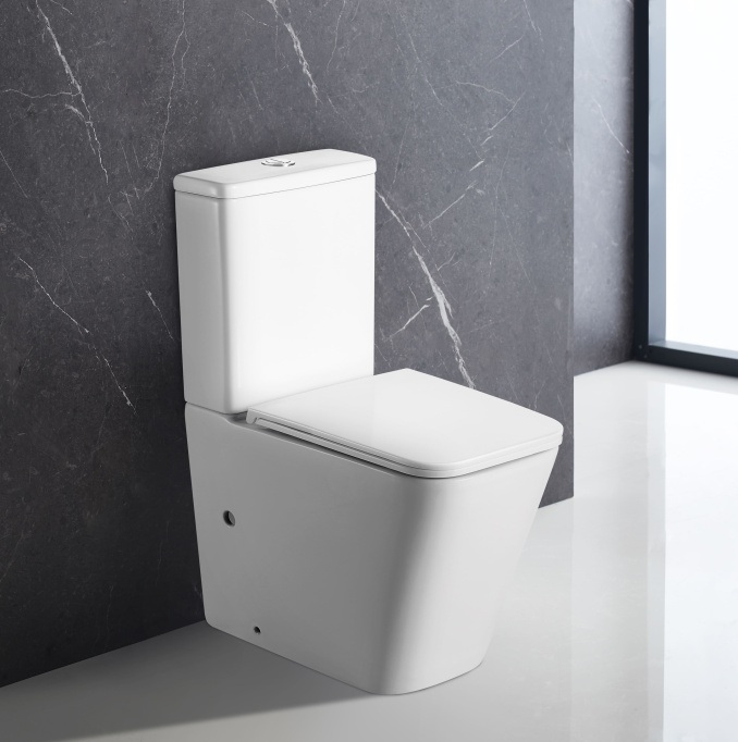 Унитаз напольный безободковый Terminus Ватикан 610х365 белый